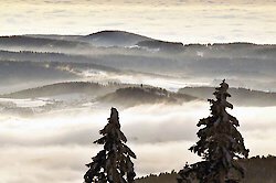 Natur und Wellness im Winterparadies nähe Nationalpark